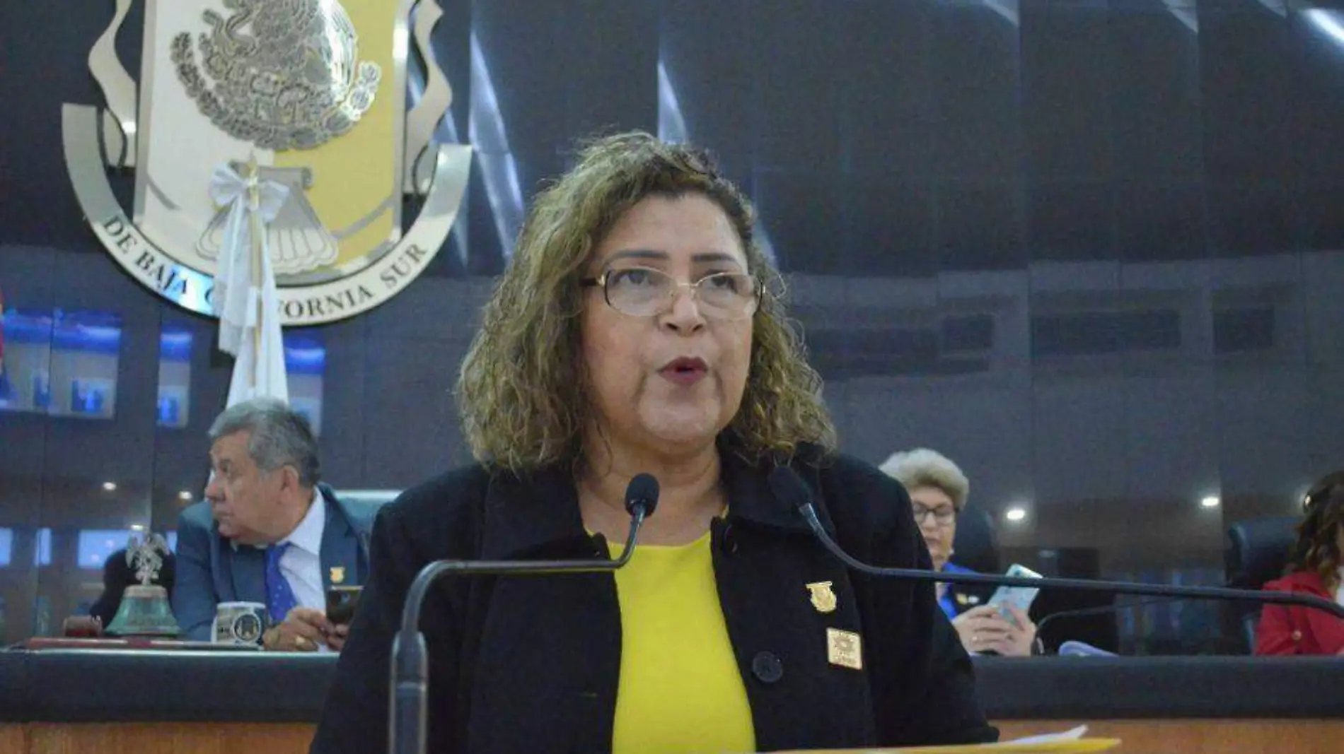 Diputada María Luisa Ojeda